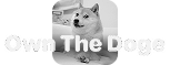 own the dog